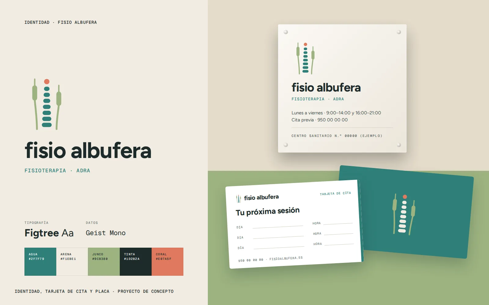 Identidad de Fisio Albufera: logotipo de juncos, paleta, tarjeta de cita y placa del centro.